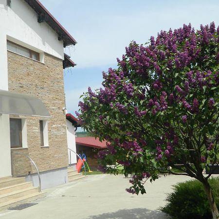 Mirana-Marginimea Sibiului Hotel Cristian  Exterior foto